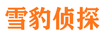 东河外遇出轨调查取证